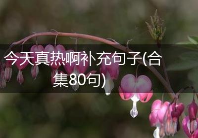 今天真热啊补充句子(合集80句)