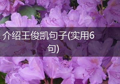 介绍王俊凯句子(实用6句)