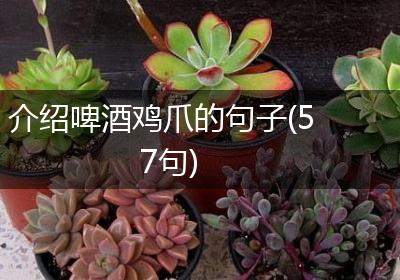介绍啤酒鸡爪的句子(57句)