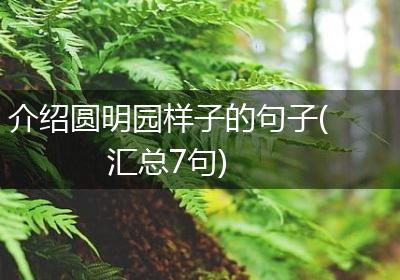 介绍圆明园样子的句子(汇总7句)
