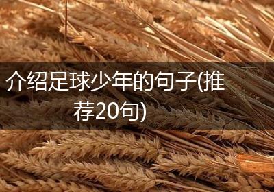 介绍足球少年的句子(推荐20句)