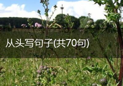 从头写句子(共70句)