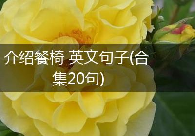 介绍餐椅 英文句子(合集20句)