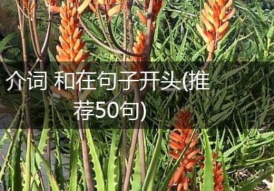 介词 和在句子开头(推荐50句)