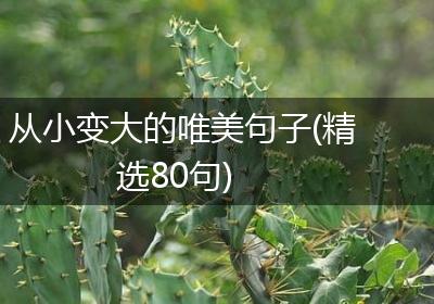 从小变大的唯美句子(精选80句)