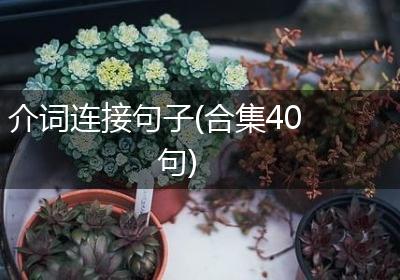 介词连接句子(合集40句)