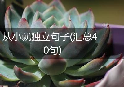 从小就独立句子(汇总40句)
