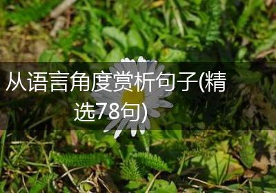从语言角度赏析句子(精选78句)