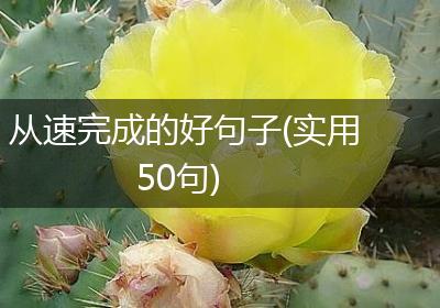 从速完成的好句子(实用50句)