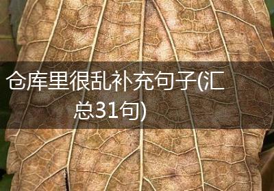 仓库里很乱补充句子(汇总31句)