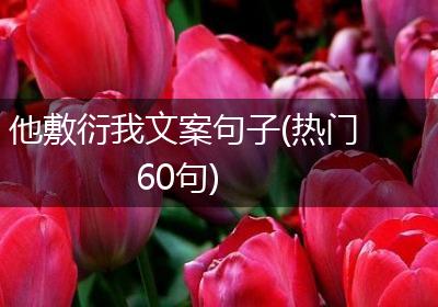 他敷衍我文案句子(热门60句)