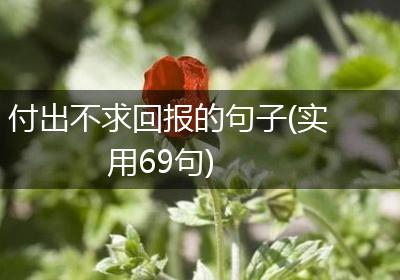付出不求回报的句子(实用69句)