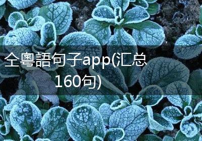 仝粵語句子app(汇总160句)