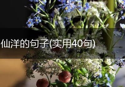 仙洋的句子(实用40句)
