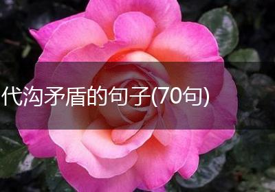 代沟矛盾的句子(70句)