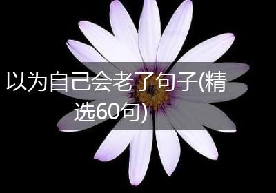 以为自己会老了句子(精选60句)