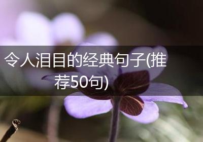令人泪目的经典句子(推荐50句)