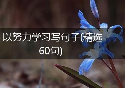 以努力学习写句子(精选60句)