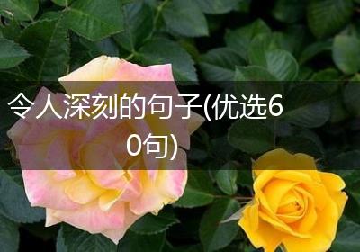 令人深刻的句子(优选60句)