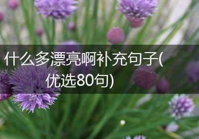 什么多漂亮啊补充句子(优选80句)