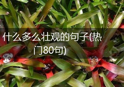 什么多么壮观的句子(热门80句)