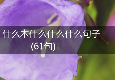 什么木什么什么什么句子(61句)