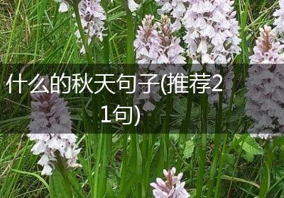 什么的秋天句子(推荐21句)