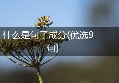 什么是句子成分(优选9句)