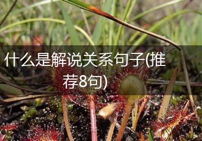 什么是解说关系句子(推荐8句)