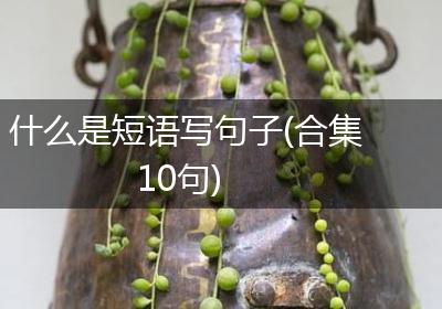 什么是短语写句子(合集10句)