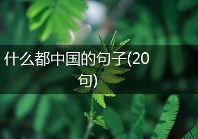 什么都中国的句子(20句)