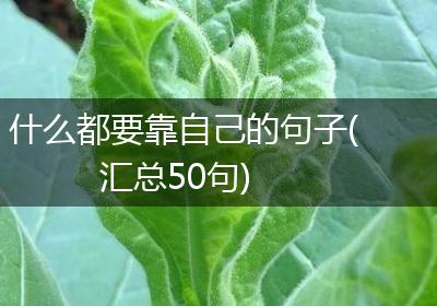 什么都要靠自己的句子(汇总50句)