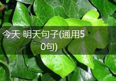 今天 明天句子(通用50句)