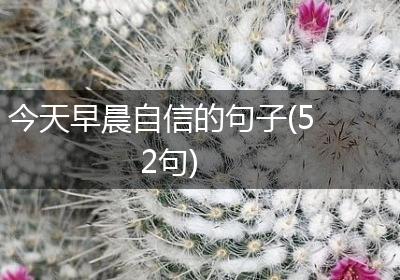 今天早晨自信的句子(52句)