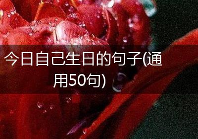 今日自己生日的句子(通用50句)