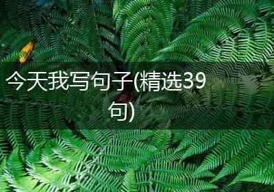 今天我写句子(精选39句)