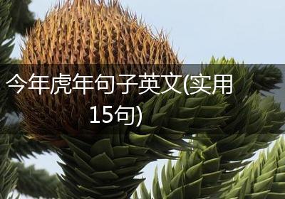 今年虎年句子英文(实用15句)