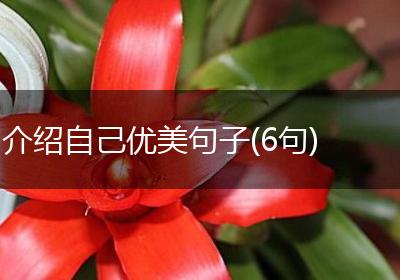 介绍自己优美句子(6句)