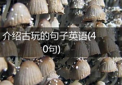 介绍古玩的句子英语(40句)