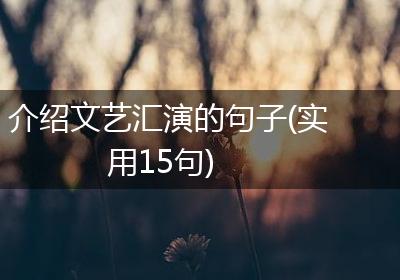 介绍文艺汇演的句子(实用15句)
