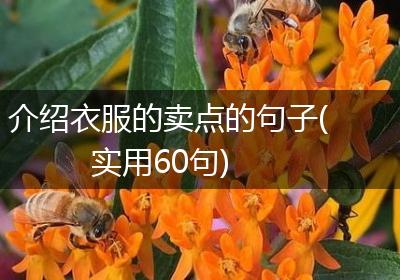 介绍衣服的卖点的句子(实用60句)