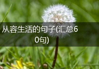 从容生活的句子(汇总60句)