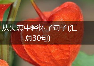 从失恋中释怀了句子(汇总30句)
