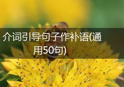 介词引导句子作补语(通用50句)