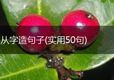 从字造句子(实用50句)