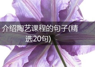 介绍陶艺课程的句子(精选20句)