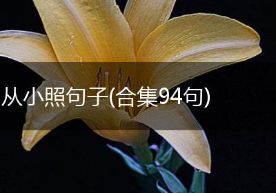 从小照句子(合集94句)