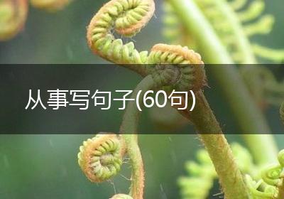 从事写句子(60句)