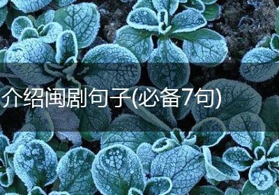 介绍闽剧句子(必备7句)