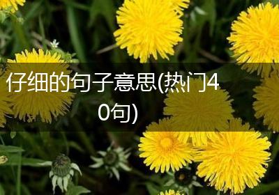 仔细的句子意思(热门40句)